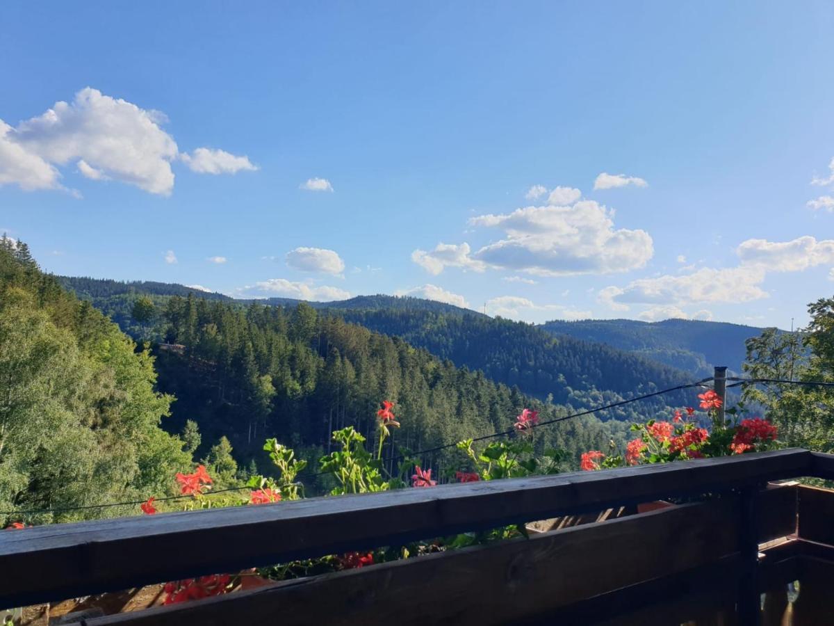 Landhaus Valentin Triberg im Schwarzwald Exterior foto