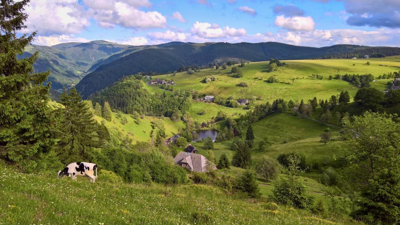 Apartamento Landhaus Valentin Triberg im Schwarzwald Exterior foto