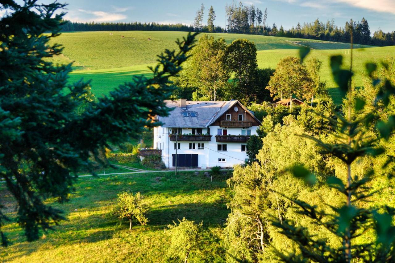 Apartamento Landhaus Valentin Triberg im Schwarzwald Exterior foto