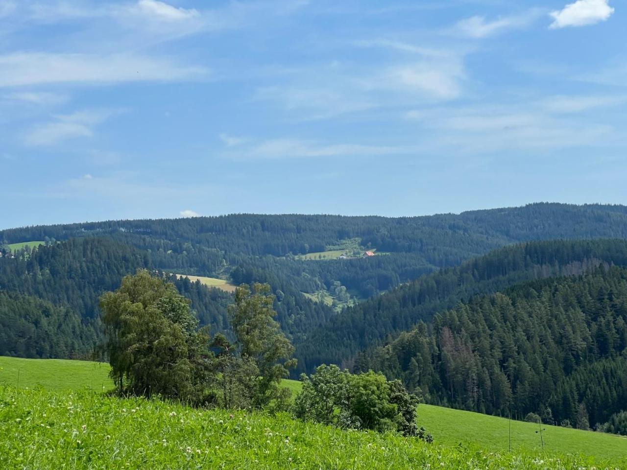 Landhaus Valentin Triberg im Schwarzwald Exterior foto