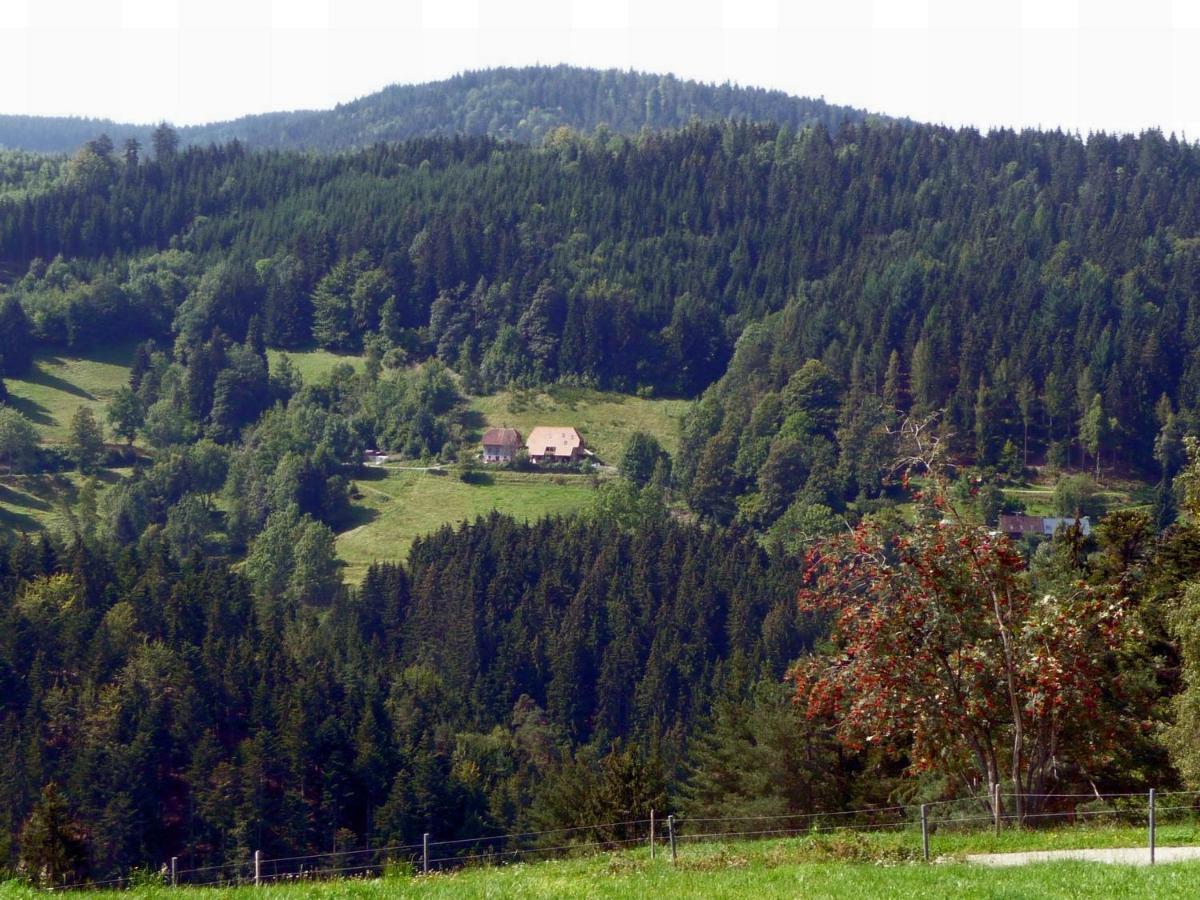 Landhaus Valentin Triberg im Schwarzwald Exterior foto
